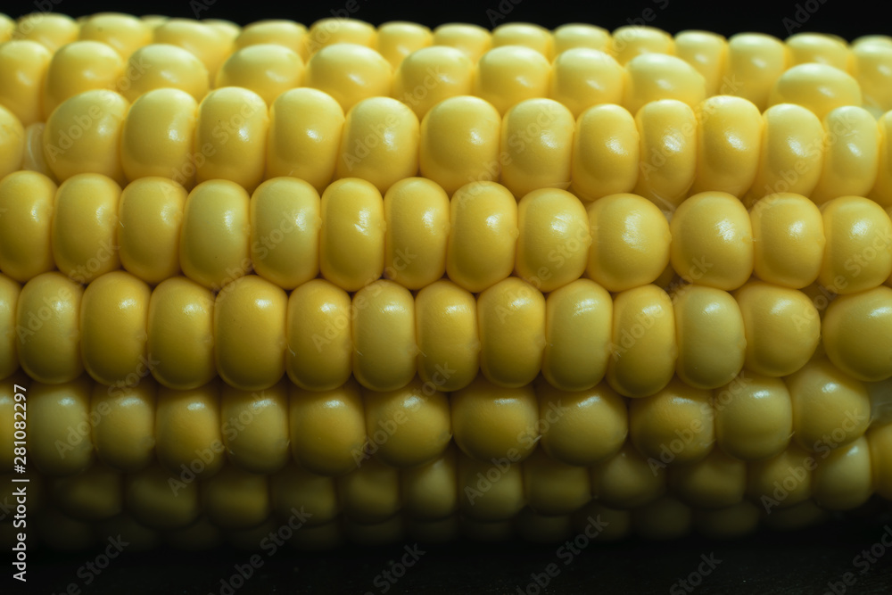 Poster close up beautiful fresh corn maze on a black background. macro view.