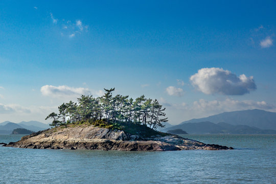 The Small Island Near To Wando