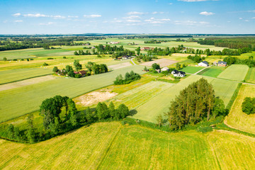Fototapeta na wymiar Green fields and trees of Polish countryside stretch to the horizon under white clouds and blue sky