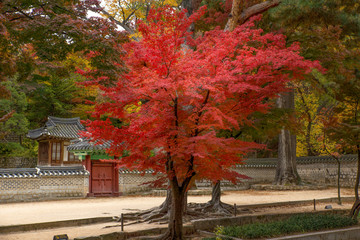 The royal palace in Seoul