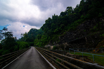 Fototapeta premium empty narrow bridge in the middle of tropical forest at Pahang, Malaysia
