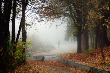 Autumn landscape. A man walks with a dog in a foggy park. Yellow leaves on the ground.