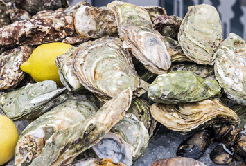 oysters, mussels and other shellfish with lemon on ice
