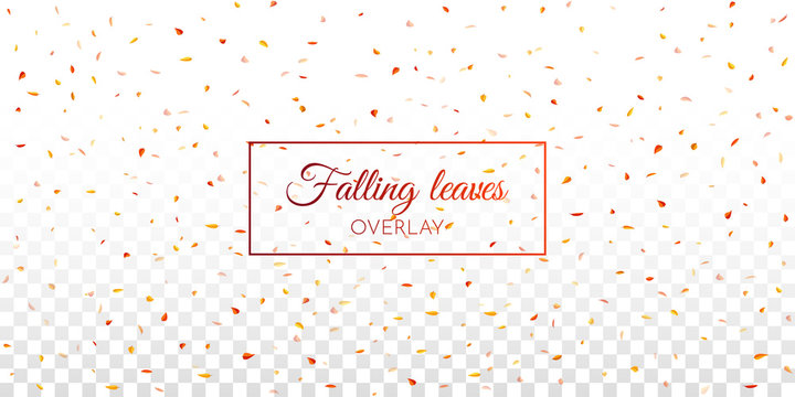 Falling leaves overlay effect. A4 format Mockup. Autumn concept. Vector illustration.