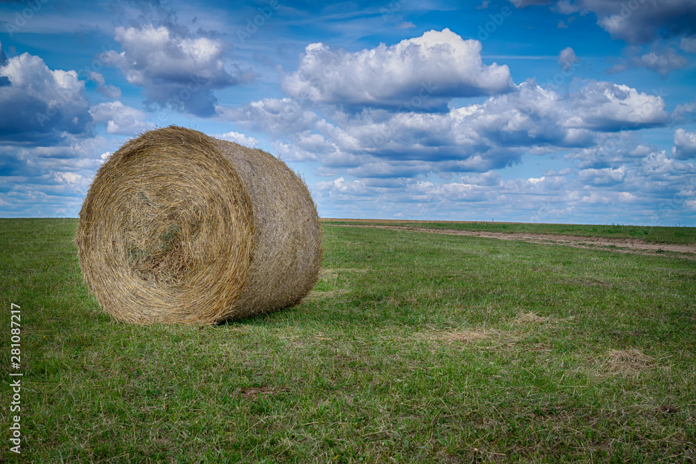 Wall mural freshly harvested circular hay bale in a field