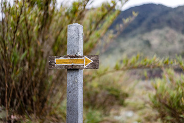 Flecha en Paramo Natural de Chingaza en Colombia