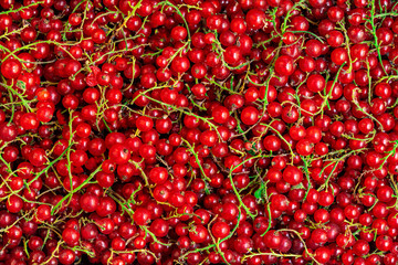 Red currant berries  background. Heap of Fresh Currant. Abstract Food texture. Top view.