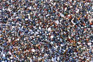 Beautiful texture of wet small multicolored pebbles on the sea shore, a unique pattern for design, background, wallpaper, coast