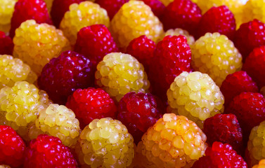 In the horizontal photo, the entire space is occupied by the image of raspberry berries