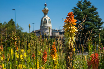 Tour Lu in Nantes on a Sunny Summer Day with Green Vegetation and Orange Common Torch Lilly Flowers