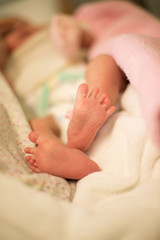 Close up newborn baby feet, Emotion family's background , Family newborn happiness Concept