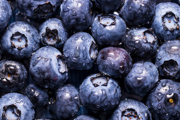 Close-up of a blueberry. The berry is wet by drops of water.