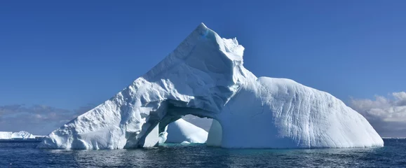 Cercles muraux Antarctique Panorama iceberg antarctique