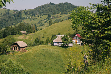 Amaing forest in the green mountains Carpatians
