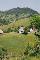 Amaing forest in the green mountains Carpatians