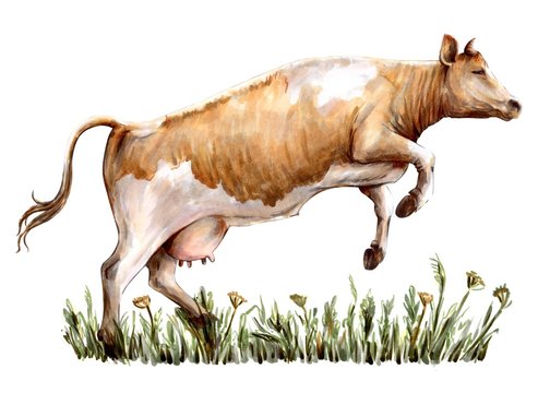 sketch of cow drawn by hand. livestock. cattle. animal grazing