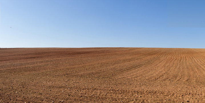 Vista panor&aacute;mica de loma de  terreno agricola  arado recientemente y preparados para el cultivo y cielo azul