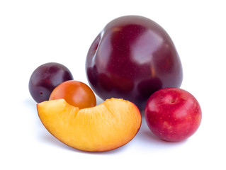 Plums of different varieties and a slice isolated on white background