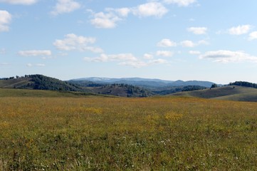 Russia.Western Siberia. The foothills of the Altai mountains