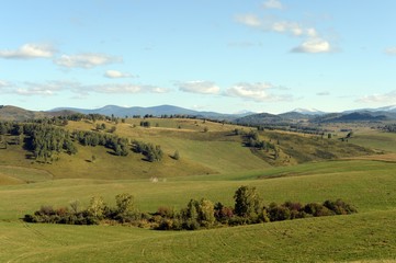 Russia.Western Siberia. The foothills of the Altai mountains