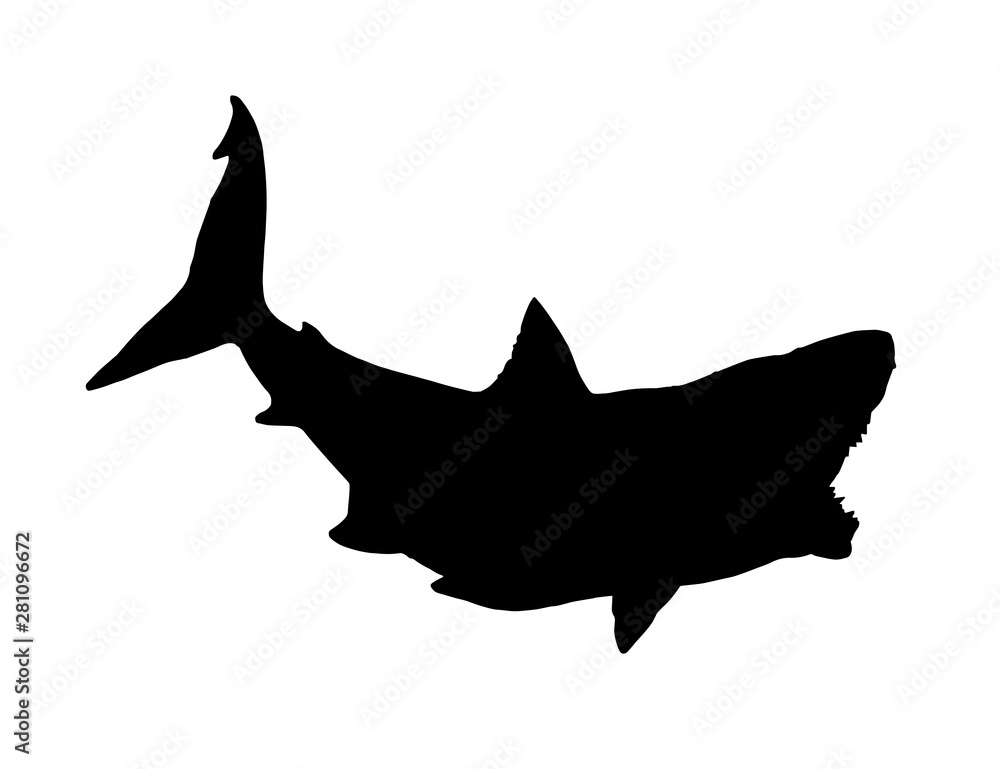 Wall mural Graphical silhouette of shark isolated on white background,vector illustration for tattoo,printing,logo