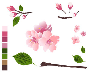 Cherry blossom branch and leaves elements design.