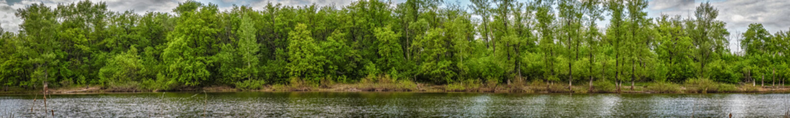 Panorama of the lake with a forest on opposite shore