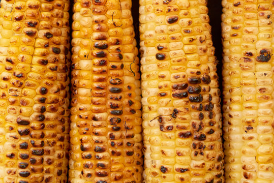 Grilled Corn in Closeup
