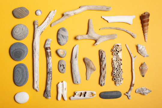 Beach finds on yellow