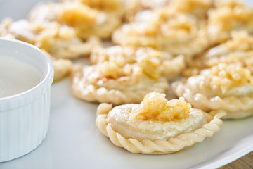 Fried dumplings stuffed with meat carmelized onion on white plate
