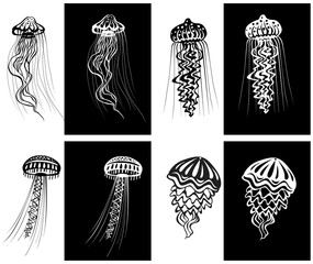 Set of decorated Jellyfishes black and white
