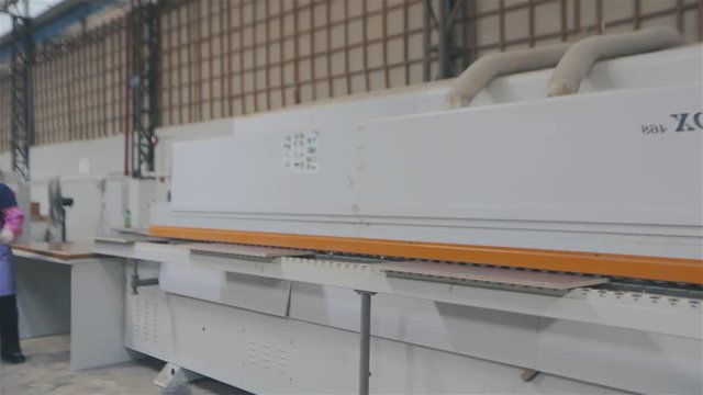 Trunks of trees in a row, Warehouse of wood at a sawmill