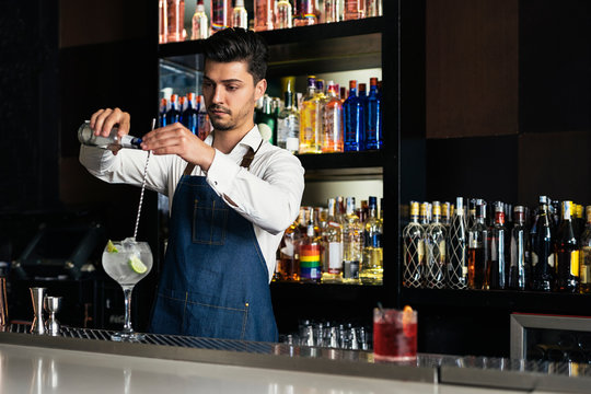 Professional young bartender working
