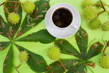 A cup of coffee on a green table, where there is a thorny green fruit of a chestnut and leaves adored by the summer sun. The concept of summer hot coffee design in bright green colors.