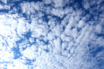 Fototapeta na wymiar Schäfchenwolken vor blauen Himmel - Textur und Hintergrund