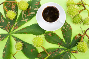 A cup of coffee on a green table, where there is a thorny green fruit of a chestnut and leaves adored by the summer sun. The concept of summer hot coffee design in bright green colors.