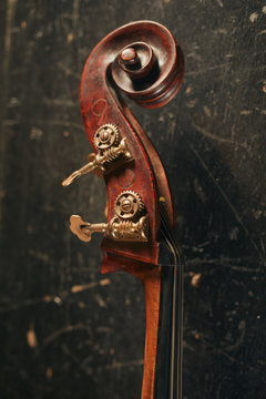 Double bass close-up