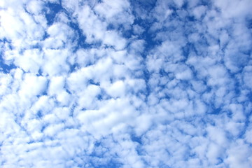 Obraz premium Schäfchenwolken - Weiße Wolken vor blauen Himmel