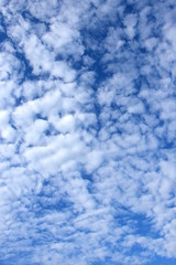 Schäfchenwolken - Weiße Wolken vor blauen Himmel