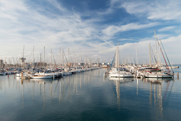 Fototapeta premium Many sail yachts in the sea harbor