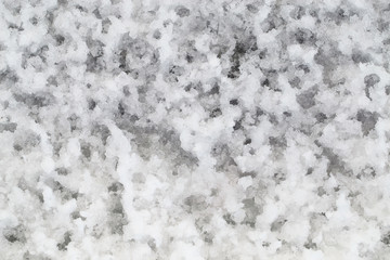 Wet early spring snow background and texture close up