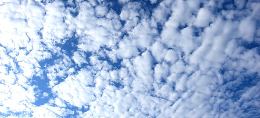 Schäfchenwolken vor blauen Himmel - Textur und Hintergrund