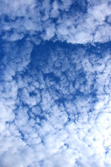 Schäfchenwolken - Weiße Wolken vor blauen Himmel