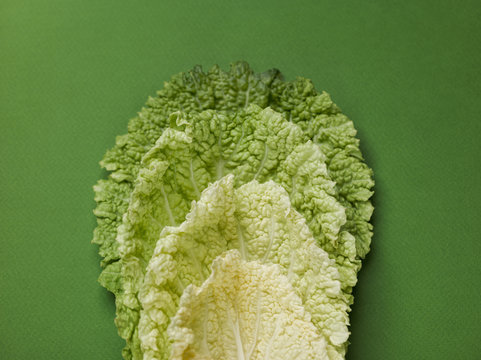Gradient green leaves of cabbage