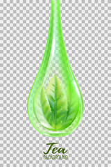 Realistic green tea leaves in a drop . Vector illustration