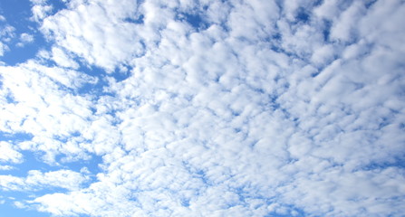 Sch&auml;fchenwolken vor blauen Himmel - Textur und Hintergrund