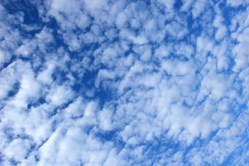Schäfchenwolken - Weiße Wolken vor blauen Himmel