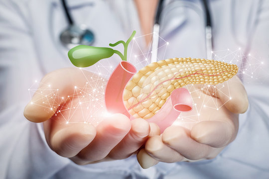 The concept of treatment of the pancreas.