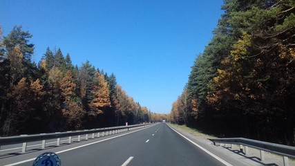 autumn road 