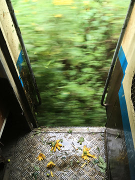 Sunflowers on the floor of door train moving.
